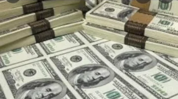 تطور جديد.. سعر الدولار يثبت أمام الجنيه وتحركات غير متوقعة لليورو 1